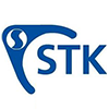 stk_makina_logo_kucuk